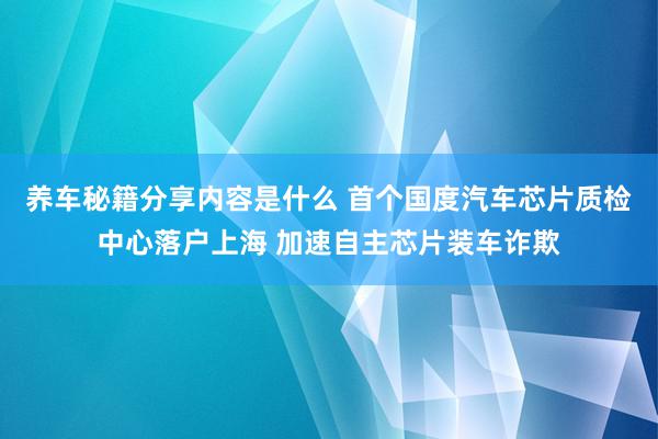 养车秘籍分享内容是什么 首个国度汽车芯片质检中心落户上海 加速自主芯片装车诈欺