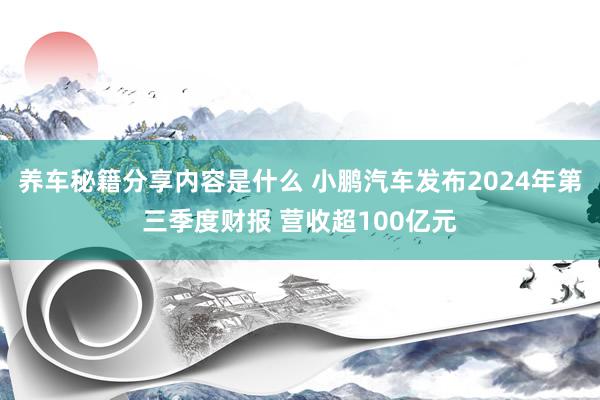 养车秘籍分享内容是什么 小鹏汽车发布2024年第三季度财报 营收超100亿元