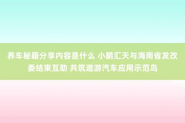 养车秘籍分享内容是什么 小鹏汇天与海南省发改委结束互助 共筑遨游汽车应用示范岛