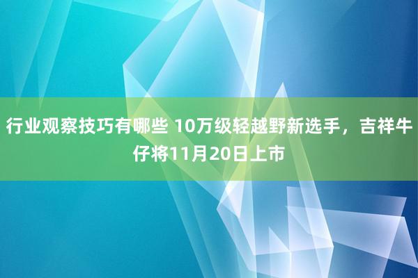 行业观察技巧有哪些 10万级轻越野新选手，吉祥牛仔将11月20日上市