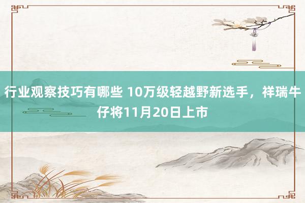 行业观察技巧有哪些 10万级轻越野新选手，祥瑞牛仔将11月20日上市