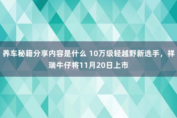 养车秘籍分享内容是什么 10万级轻越野新选手，祥瑞牛仔将11月20日上市