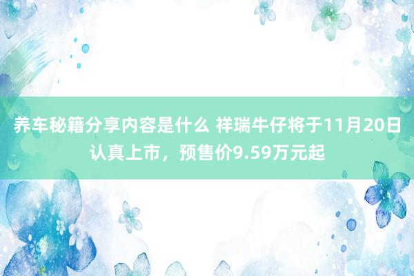 养车秘籍分享内容是什么 祥瑞牛仔将于11月20日认真上市，预售价9.59万元起