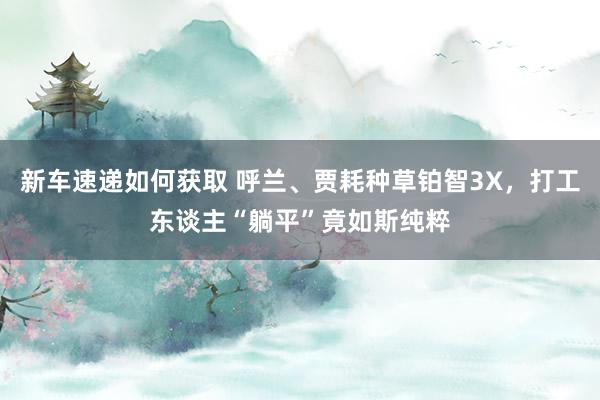 新车速递如何获取 呼兰、贾耗种草铂智3X，打工东谈主“躺平”竟如斯纯粹