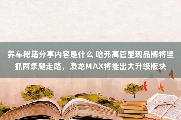 养车秘籍分享内容是什么 哈弗高管显现品牌将坚抓两条腿走路，枭龙MAX将推出大升级版块