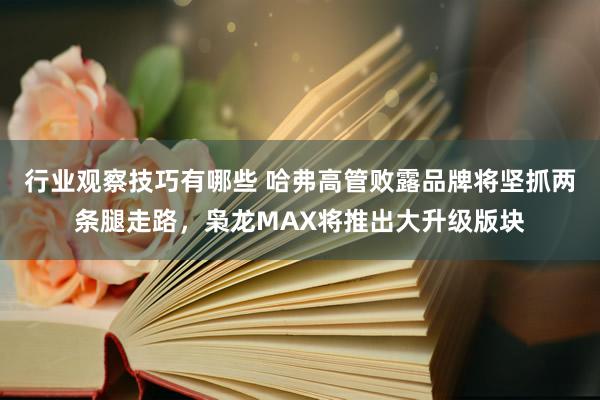 行业观察技巧有哪些 哈弗高管败露品牌将坚抓两条腿走路，枭龙MAX将推出大升级版块