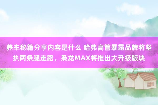 养车秘籍分享内容是什么 哈弗高管暴露品牌将坚执两条腿走路，枭龙MAX将推出大升级版块